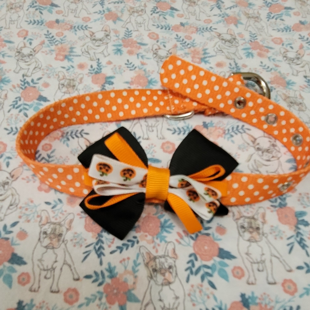 Halloween Pumpkin Theme Pet Collar